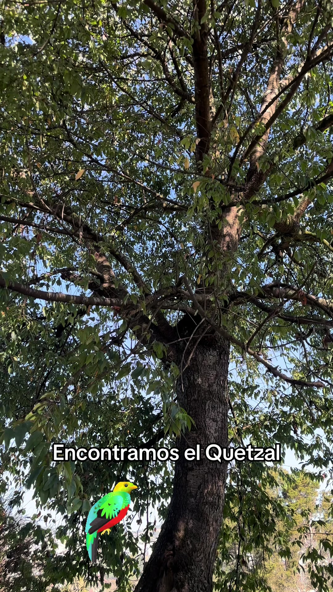 @Que Onda Mucha