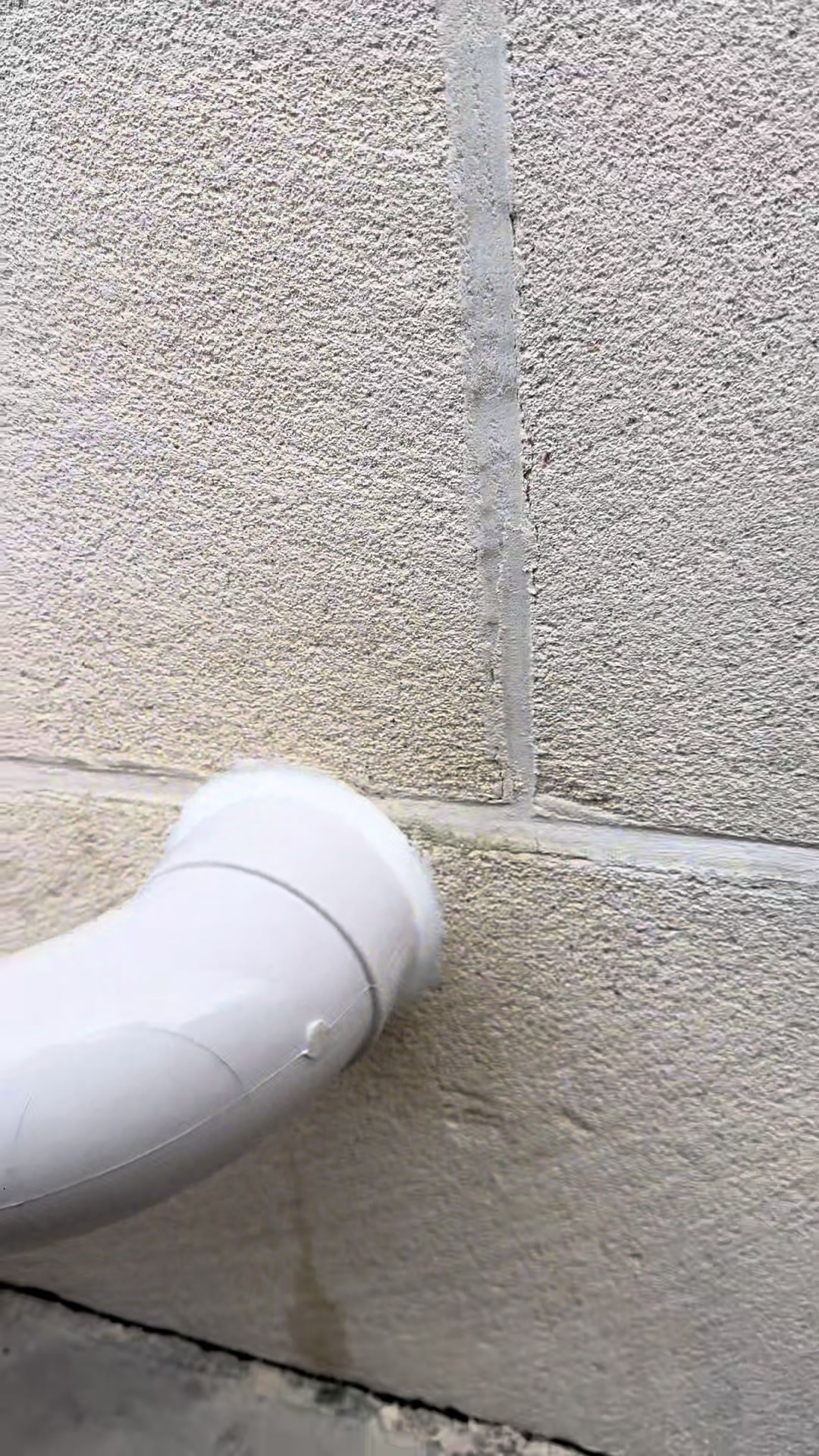 @Wildy Plumbing