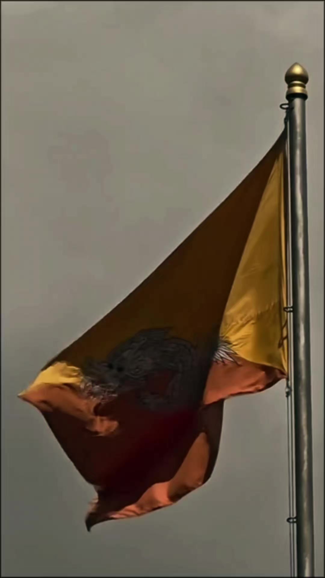 @𝓙𝓾𝓼𝓽_𝓟𝓸𝓸𝓴𝓲𝓮❤️🏳️&zwj;🌈