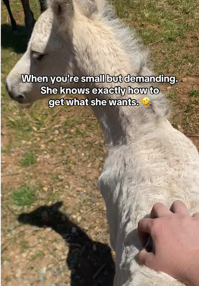 @SlowlaneFarm