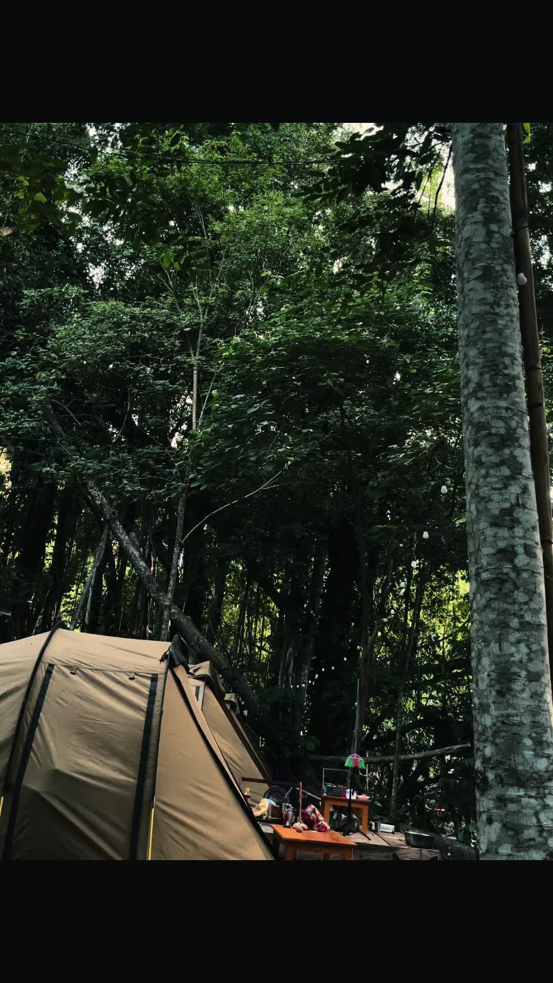 @𝘾𝙞𝙡𝙪𝙗_𝘽𝙖☑️