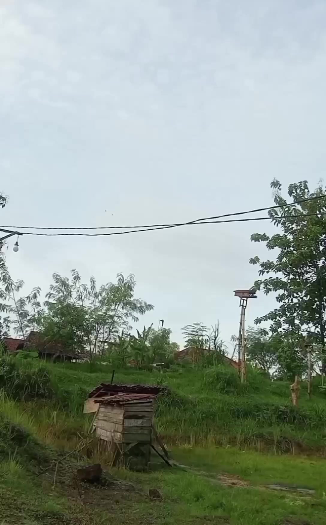 @Mahrus Wijaya