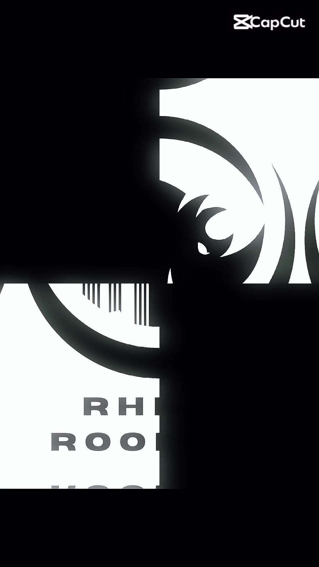 @RhinoRoofingSA