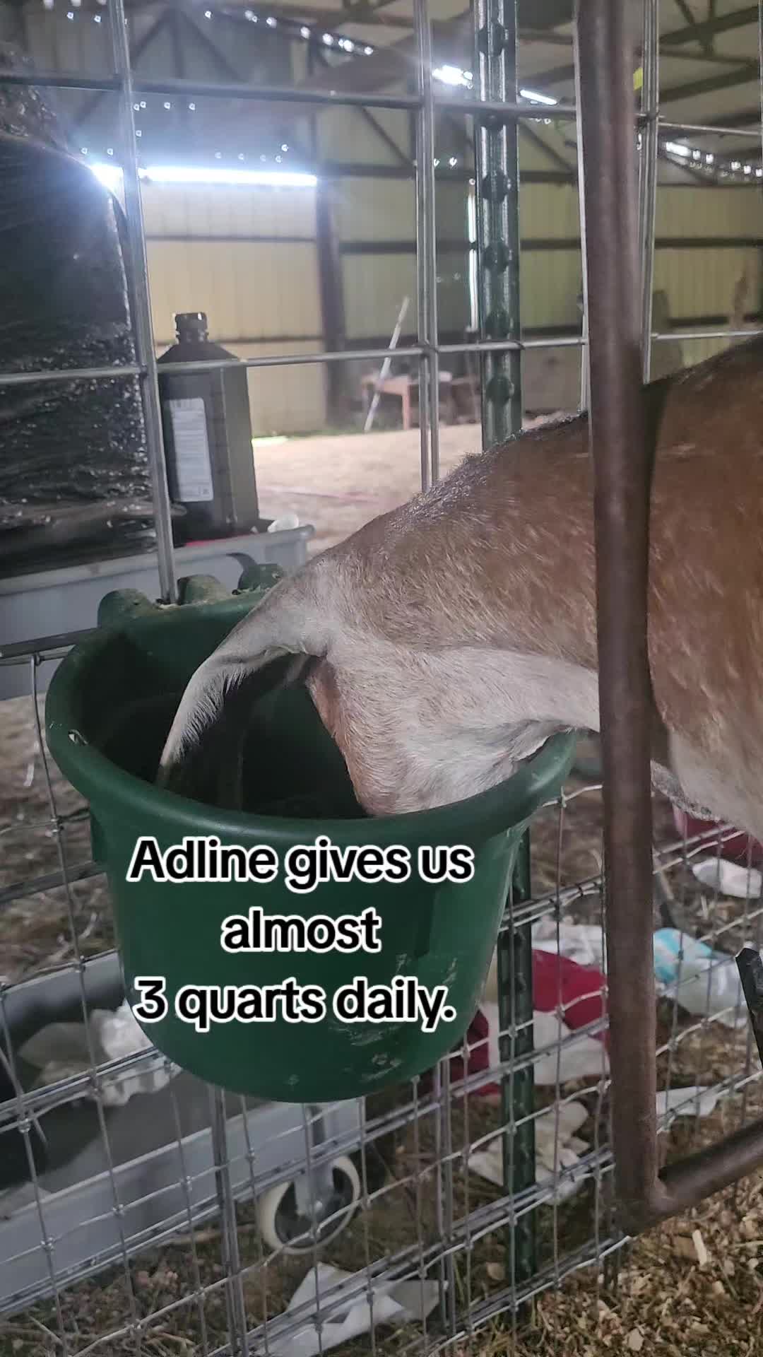 @Viking Cowboy