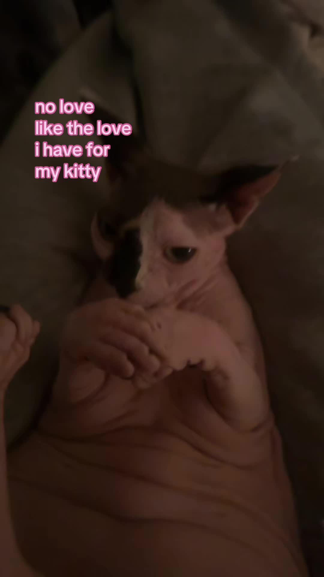 @hi