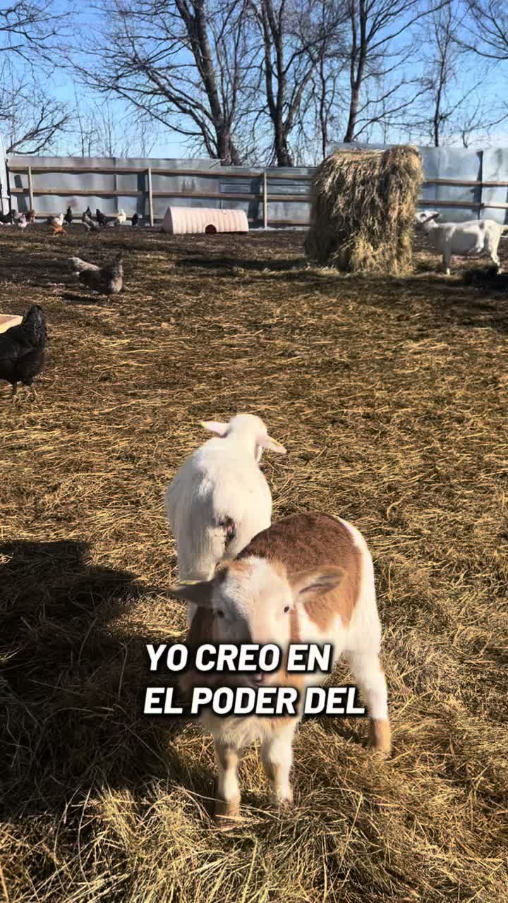 @Annilú