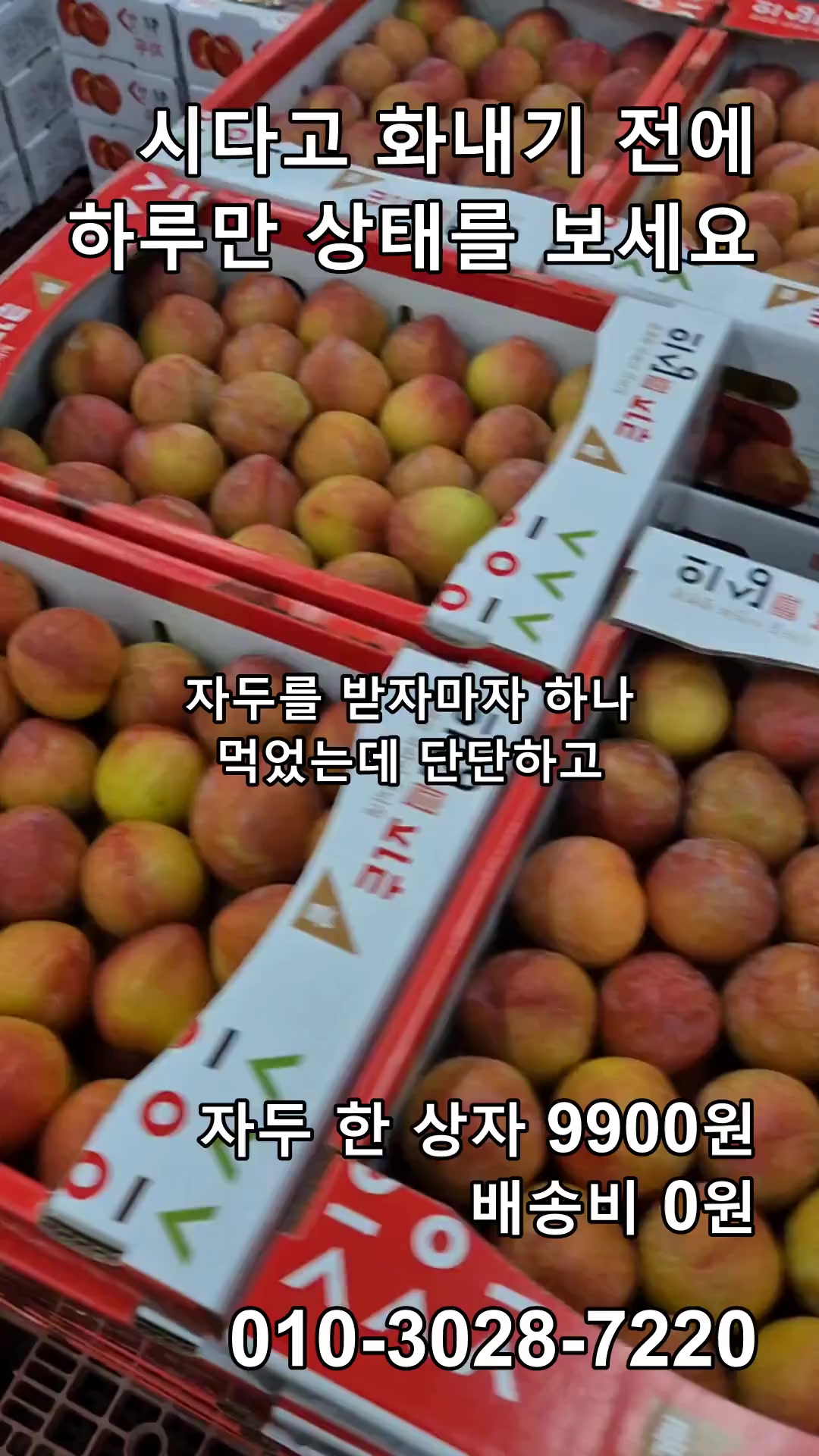@새콤과일장터
