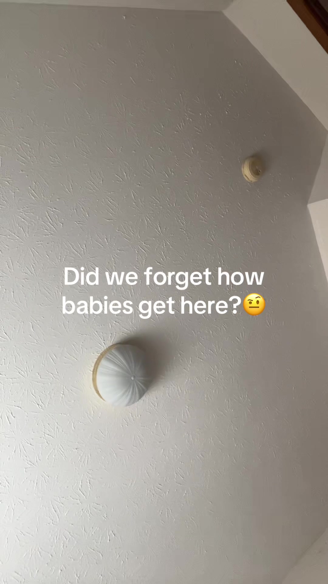 @lyricsshawnaee