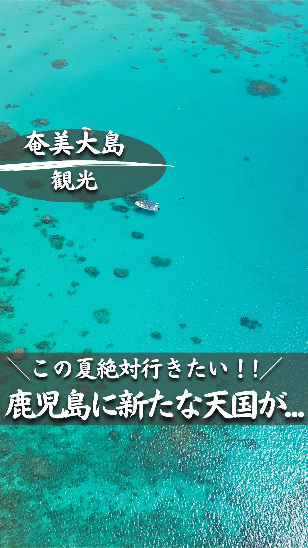 @ポポの休日🌿鹿児島&九州旅🐕