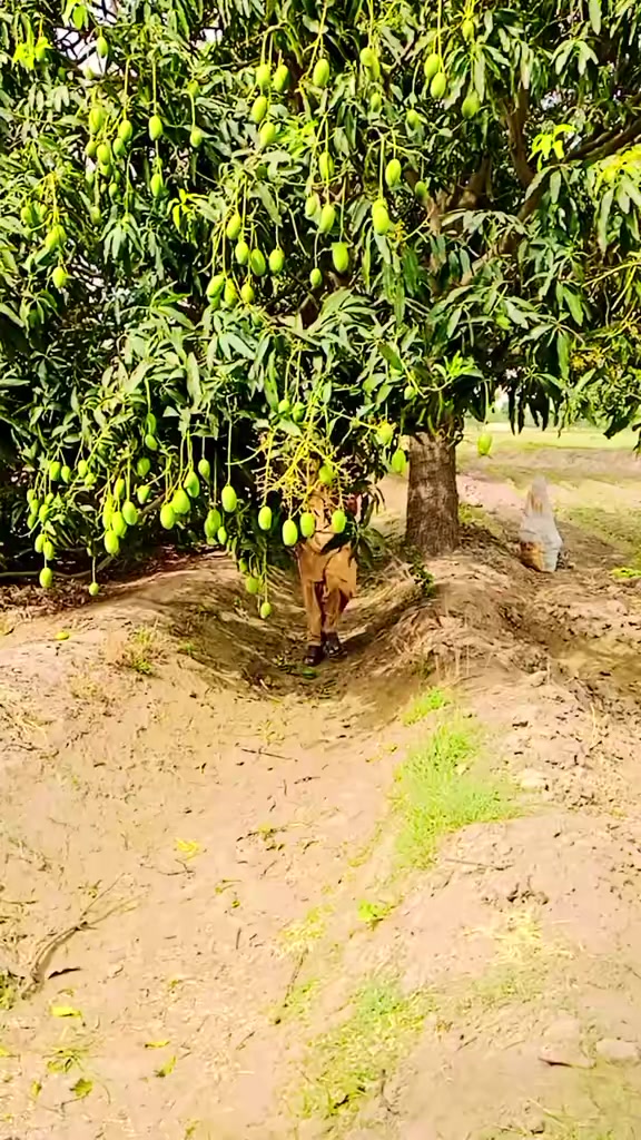 @عبدﷲ ٹھیکیدار