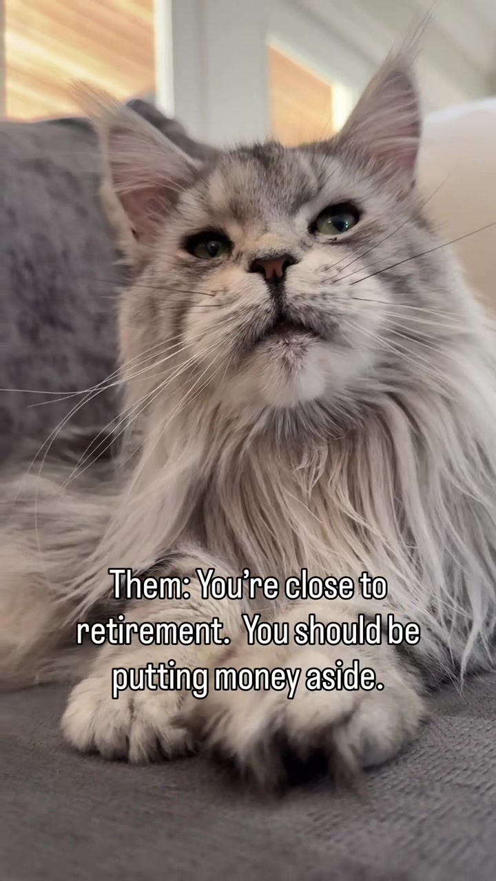 @Winnie: Maine Coon Kitty