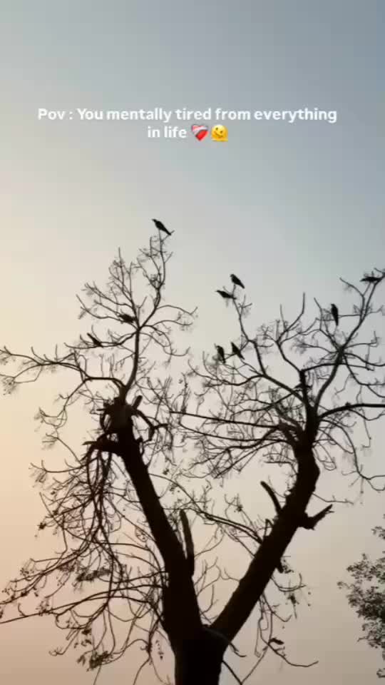 @Suhasini