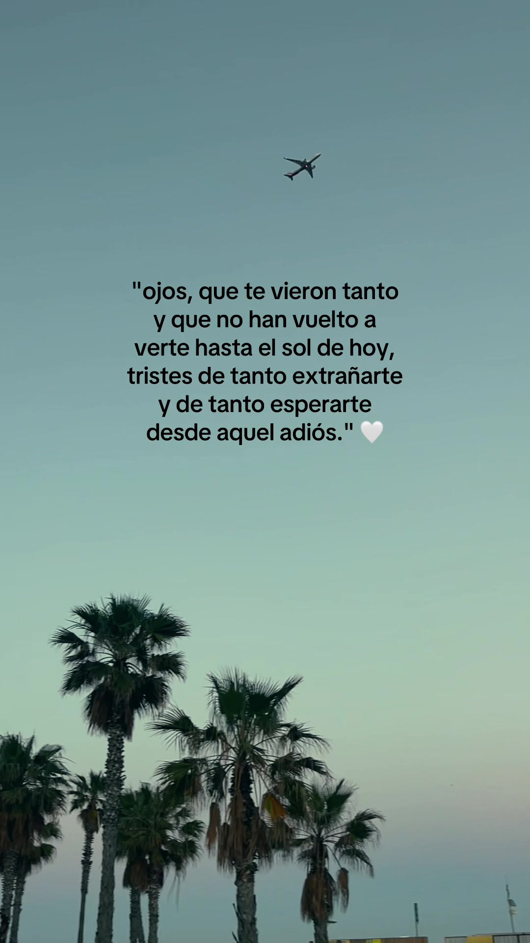 @ossi 🕷️