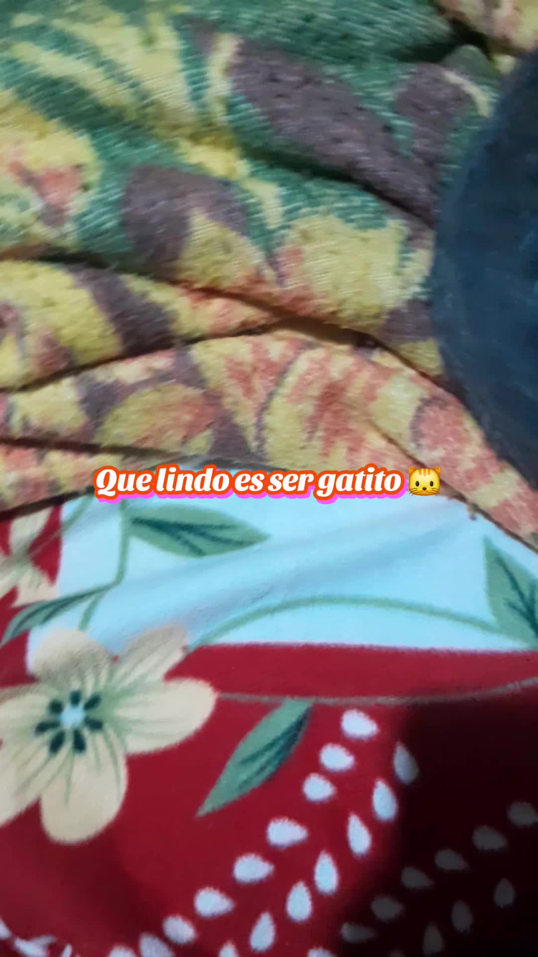 @•Estefania•
