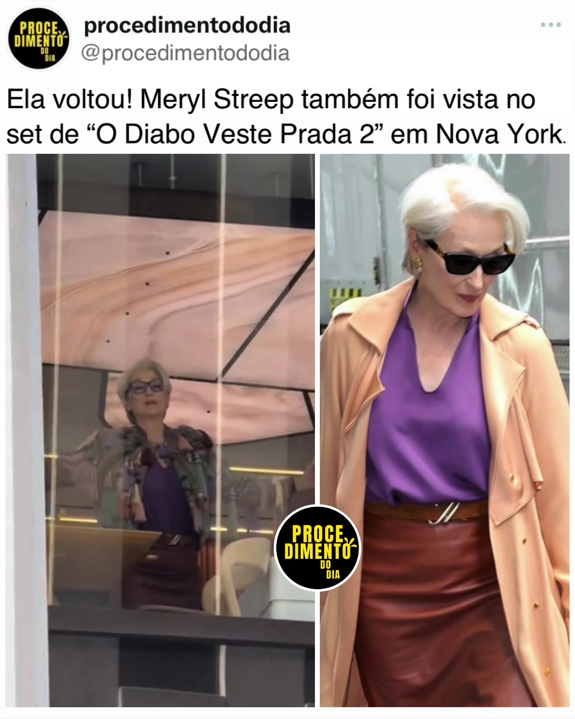 @procedimentododia