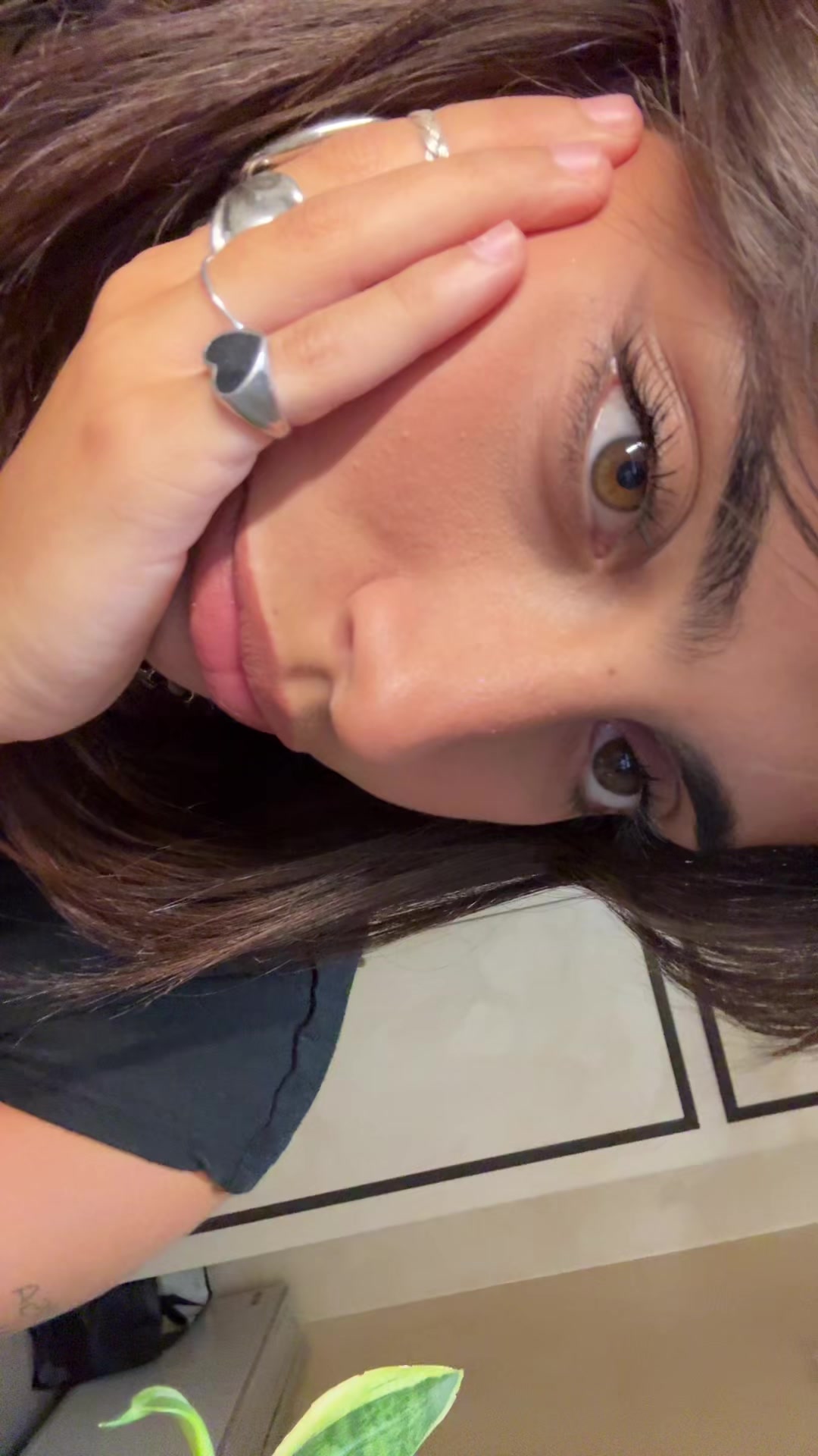 @apollineo