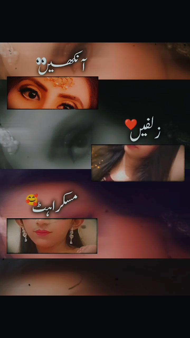 @afshanshakeel53