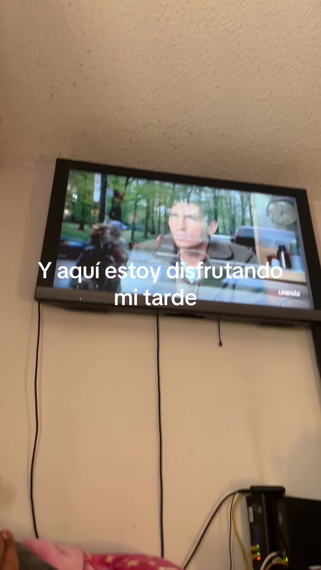 @Alma Baez295