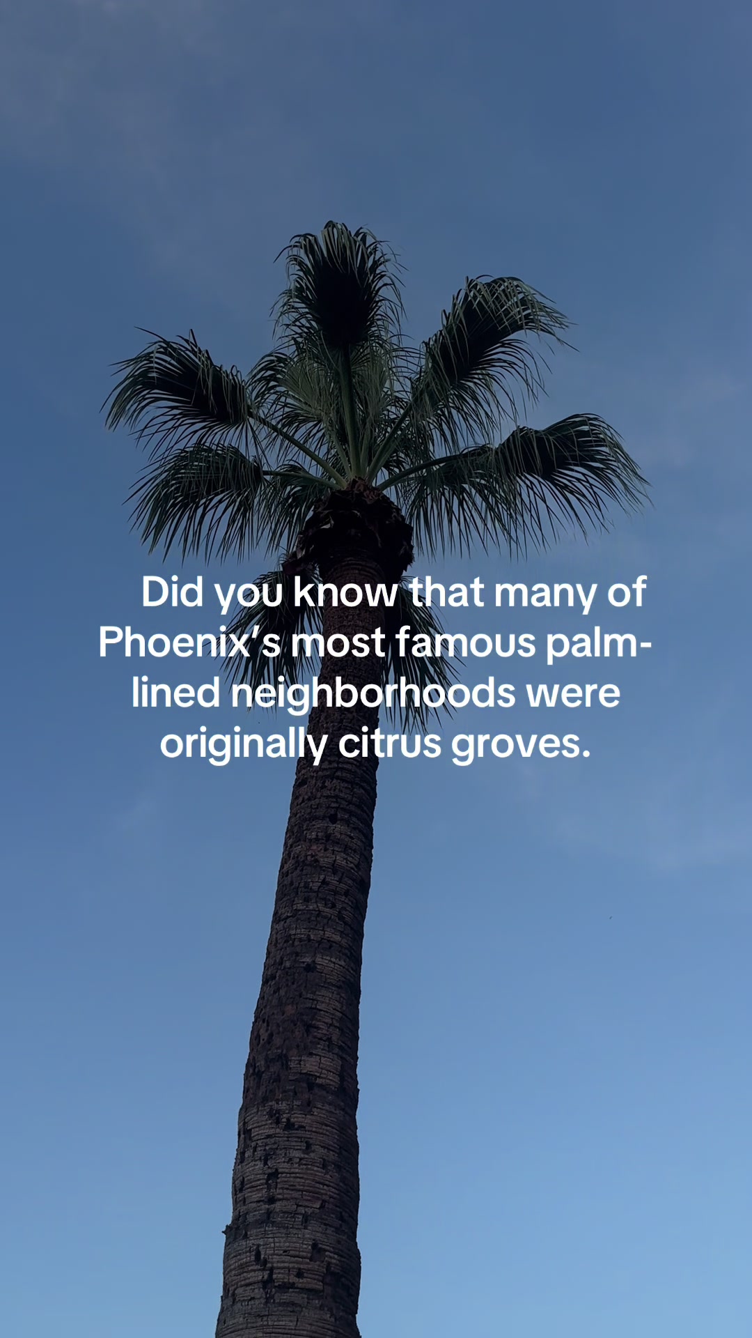 @Local Arizona Life
