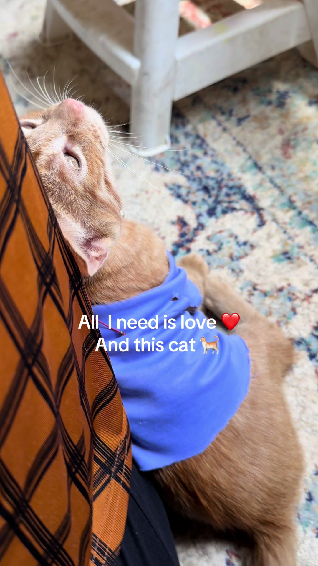 @𝓜𝓪𝓬𝓵𝓸𝓿𝓮