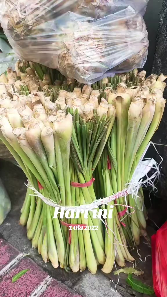 @supplier sayur dan buah sby
