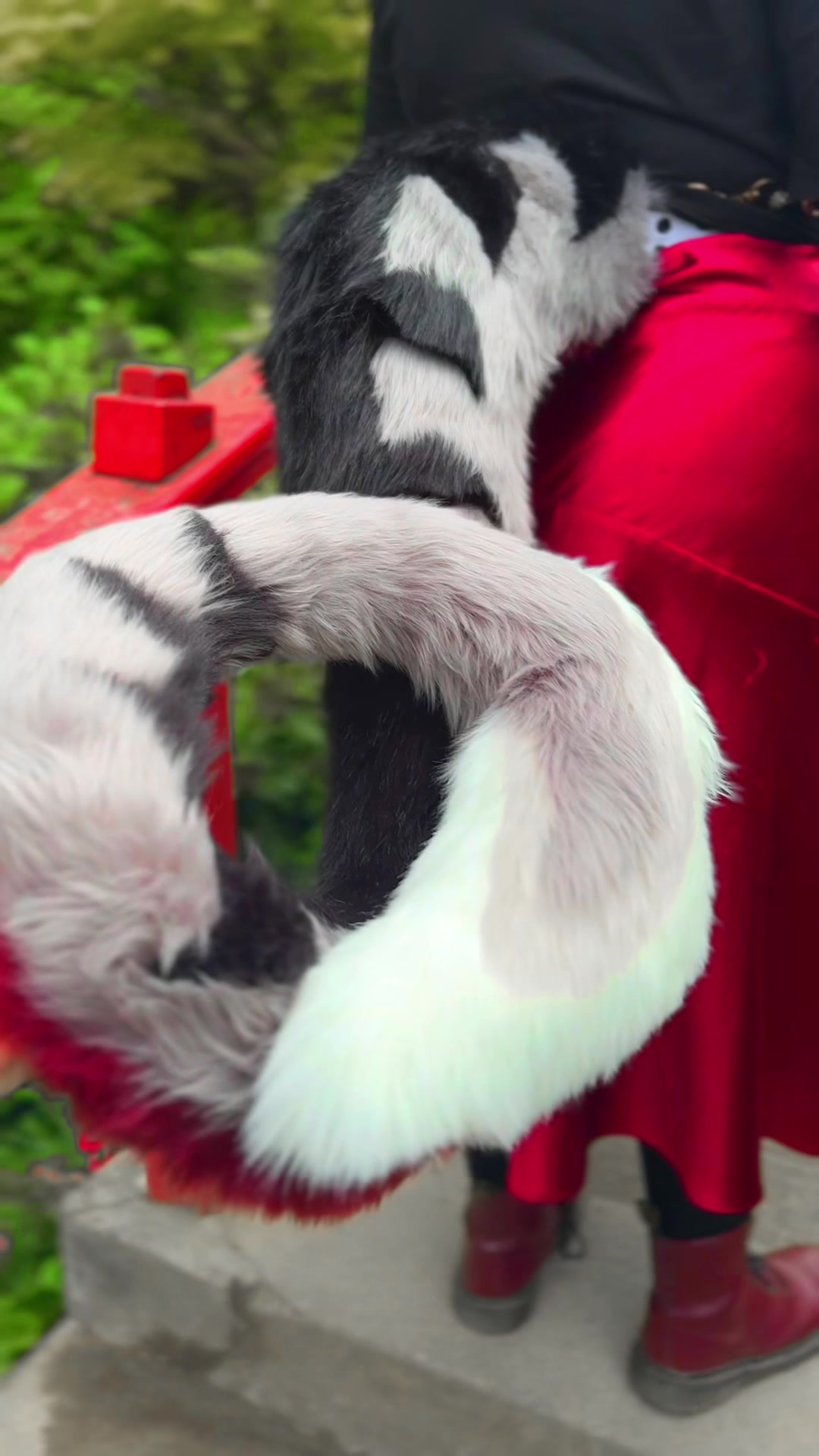 @FruitbatFursuits > ANW