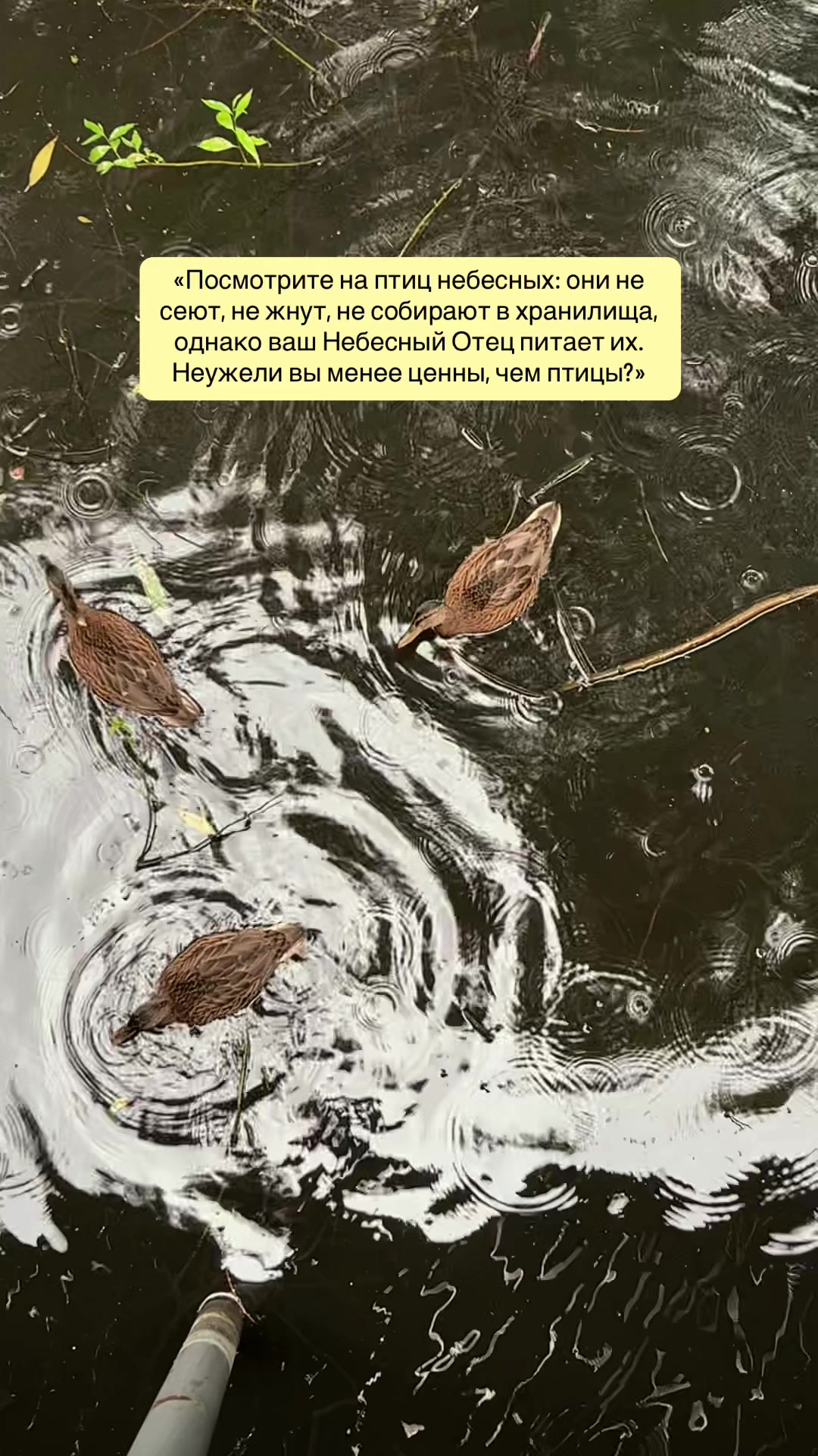 @ЕКАТЕРИНЦЫЯ