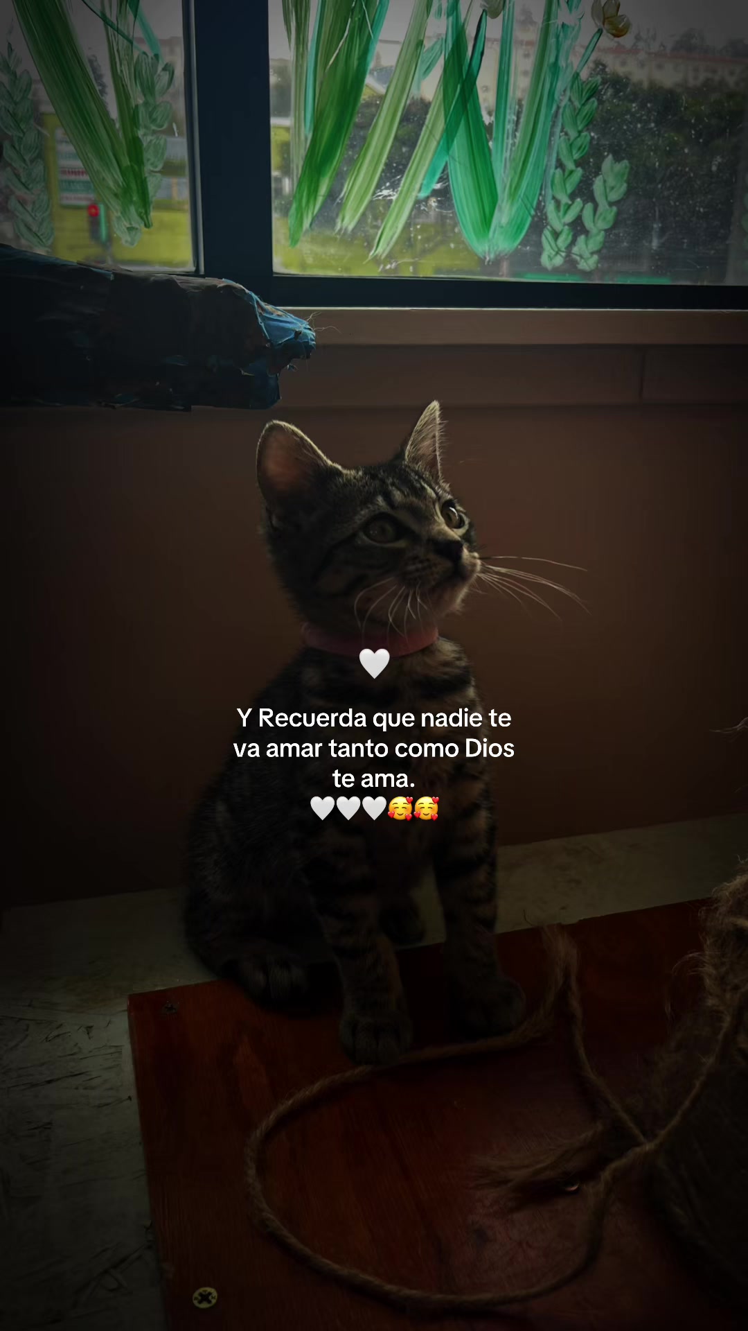 @Leticia Castanon