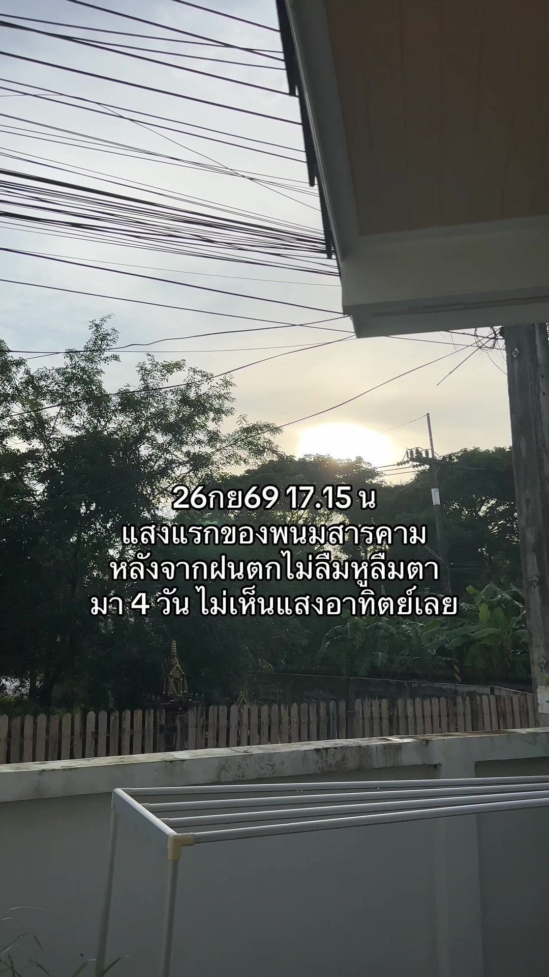 @ต้นอ้อที่ชอบรีวิว
