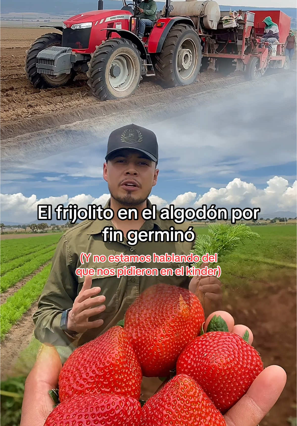 @agroboy_mx