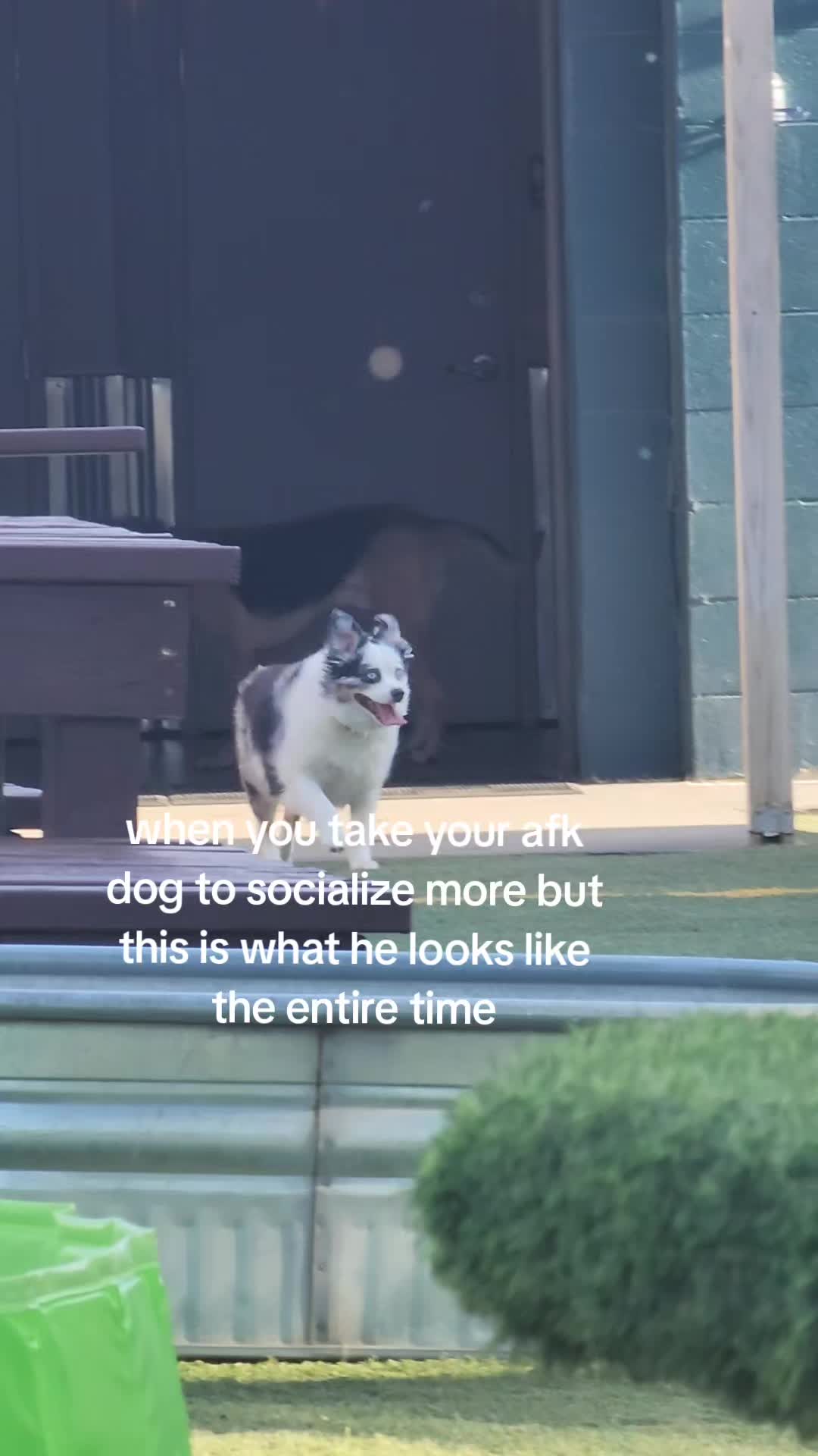 @mrpuddles