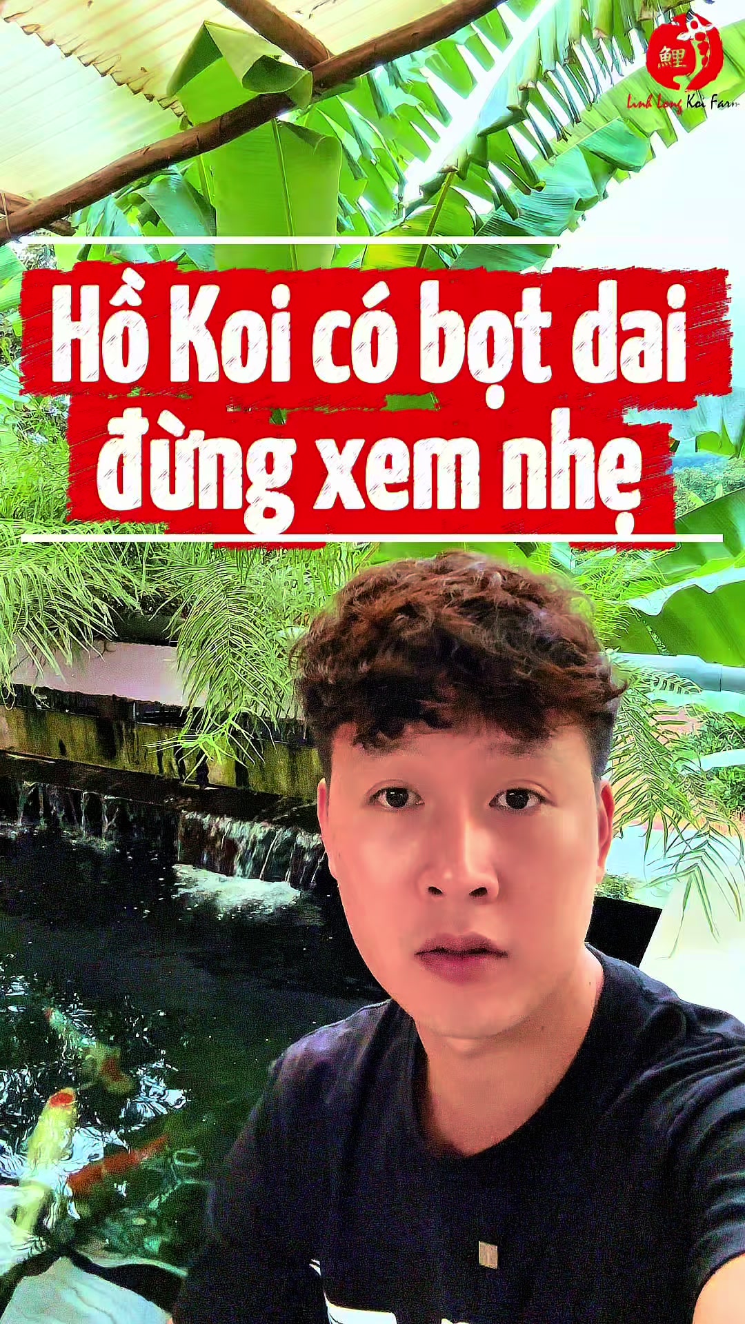 @Linh Long Koi Farm