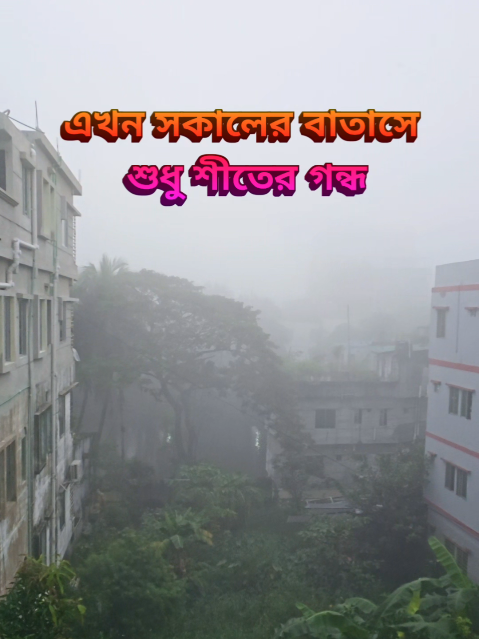 @Maoa~মাওয়া