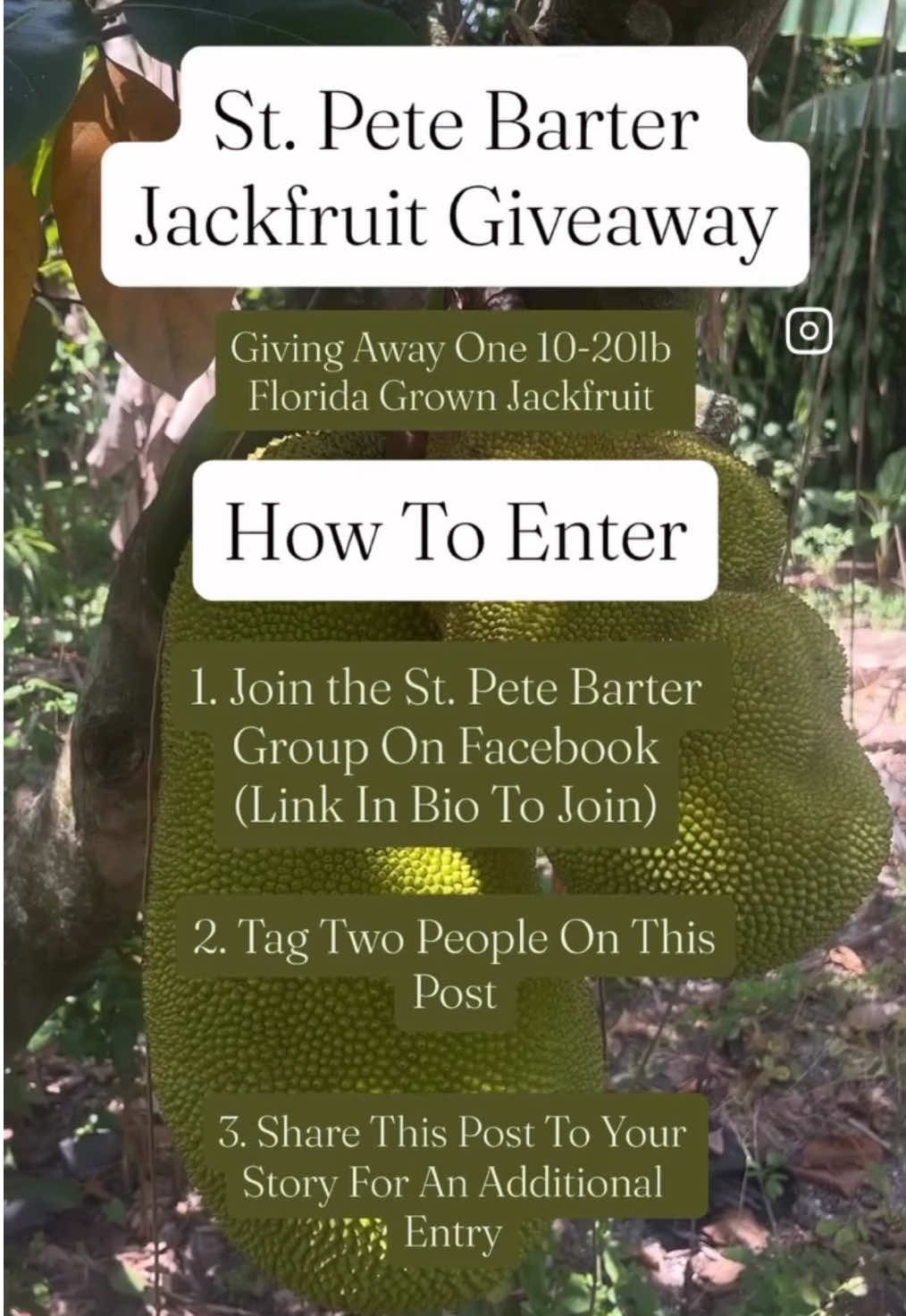 @St Pete Barter & Trade