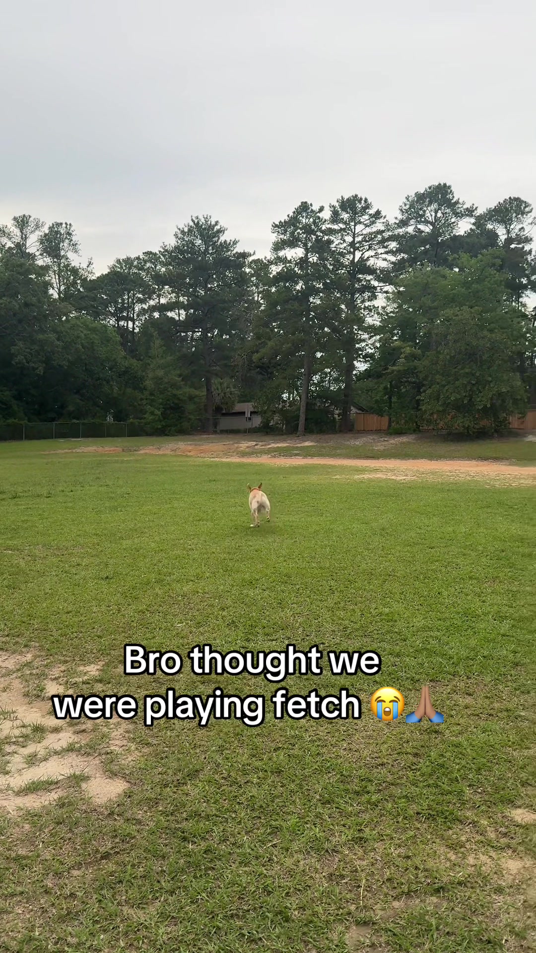 @Zawg&Schlawg