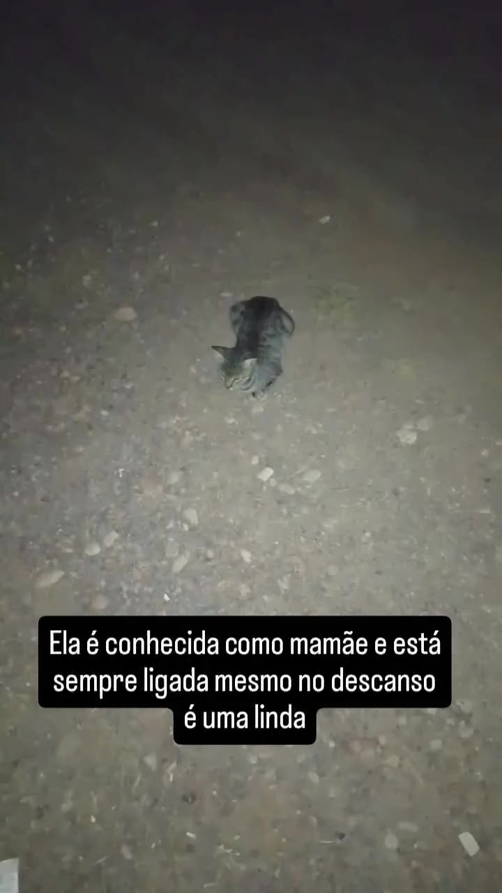 @Noticiando Brasil e Mundo