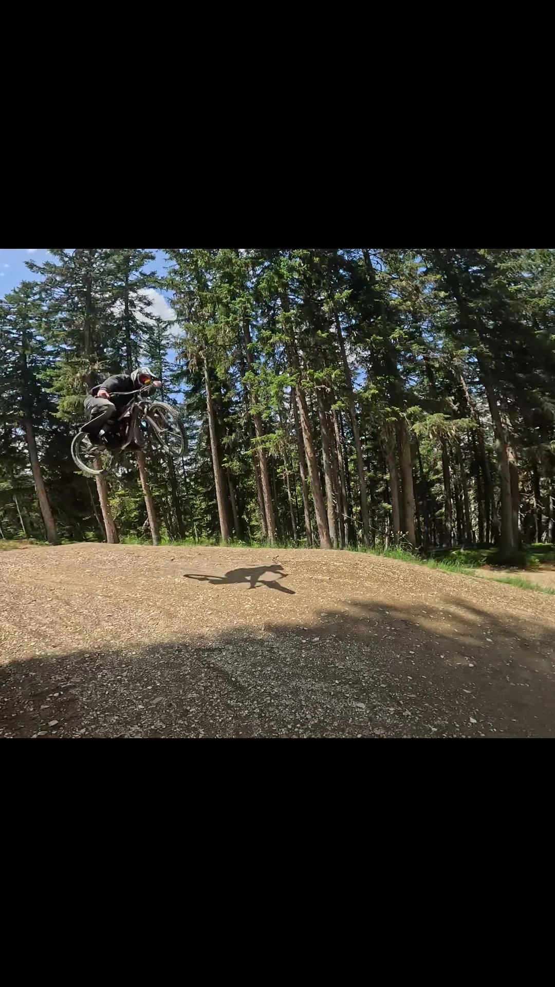 @🌲Freeride_Paul🌲