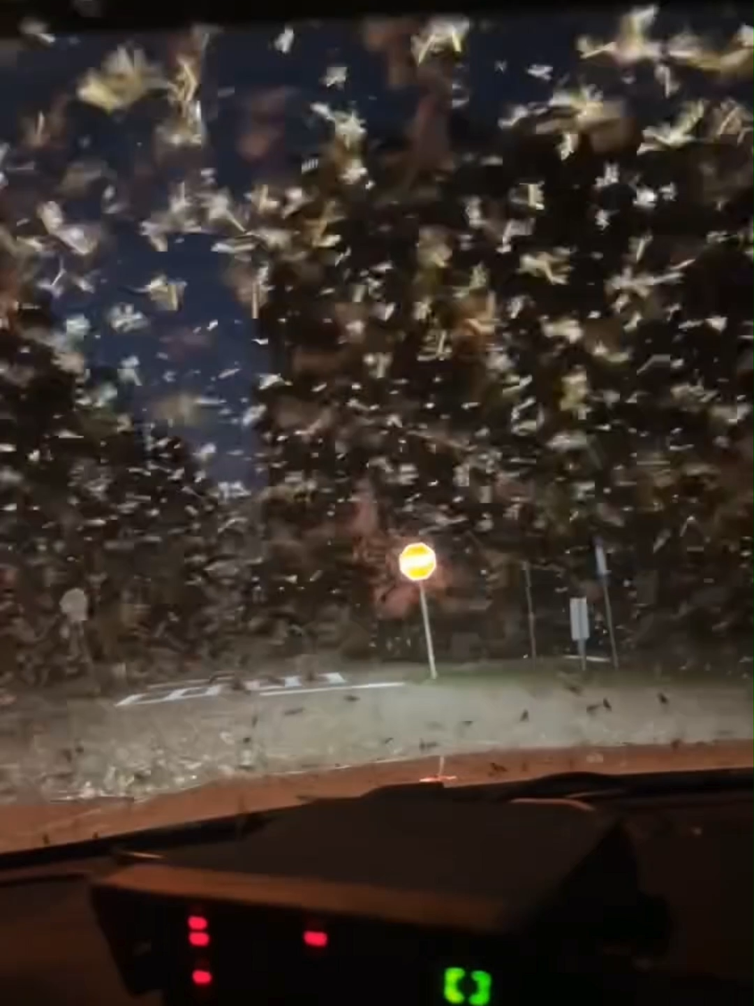 @FOX Weather