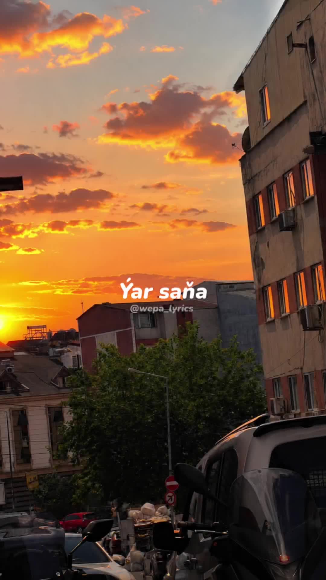 @Myrat0717