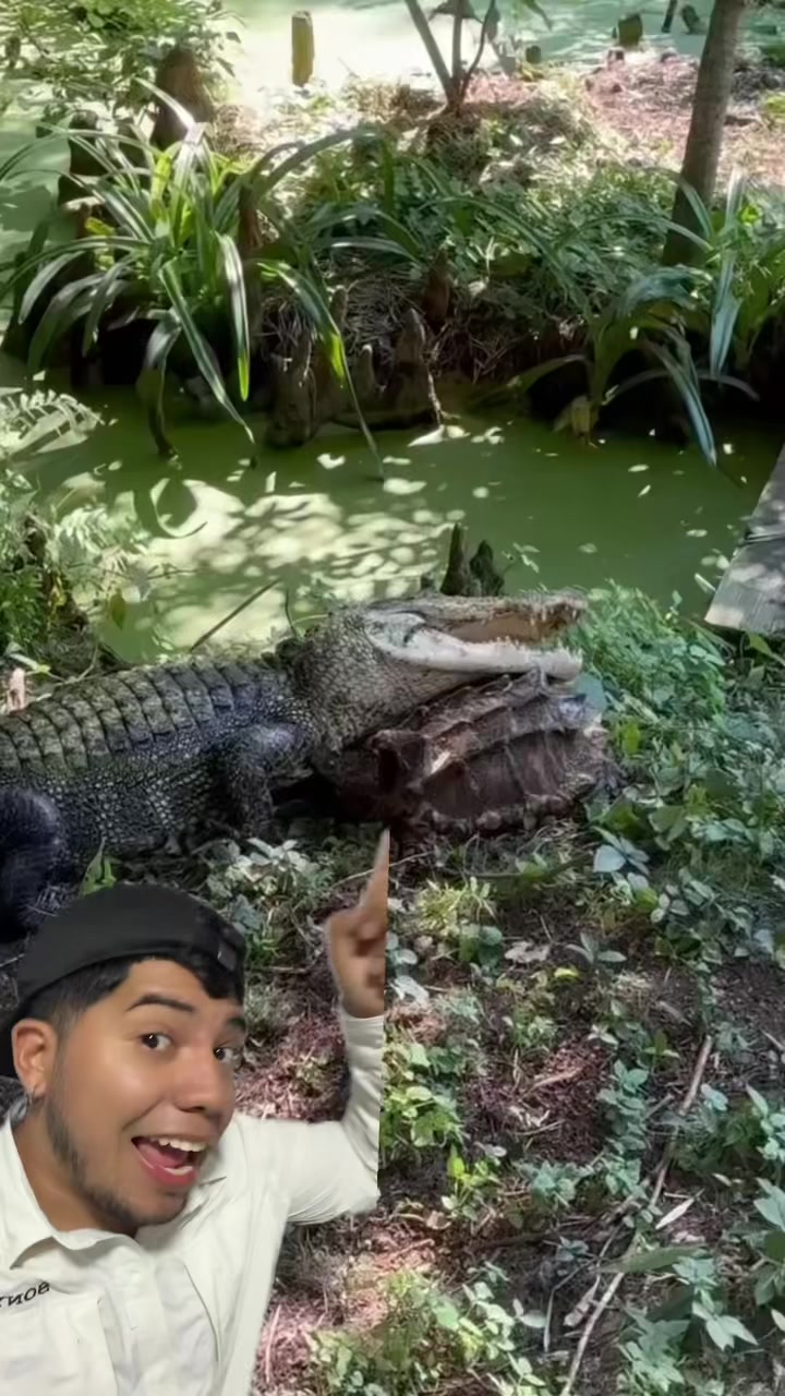 @Soy Sebassalvaje (d&uacute;os)
