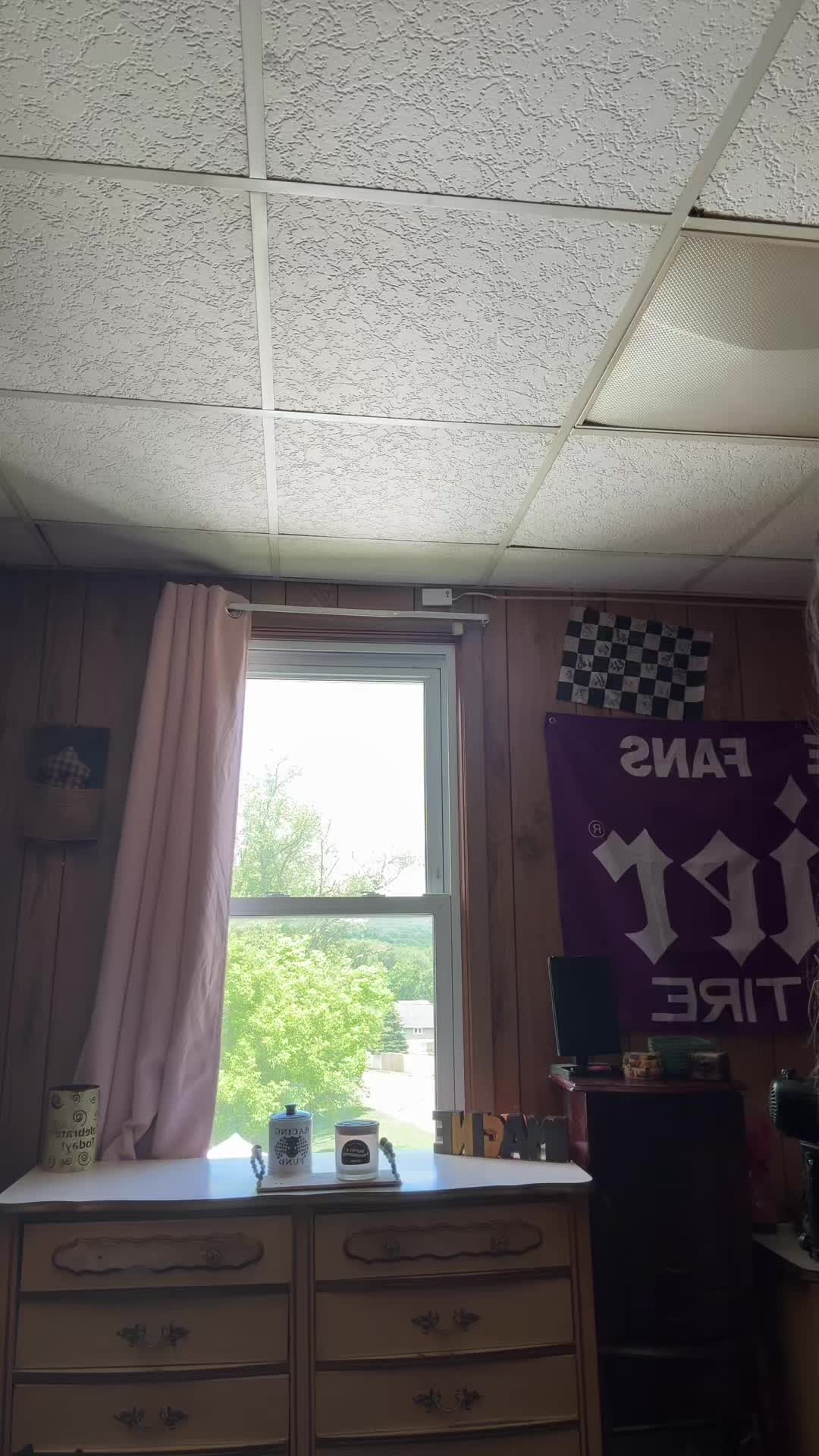 @🐝 bee 🐝