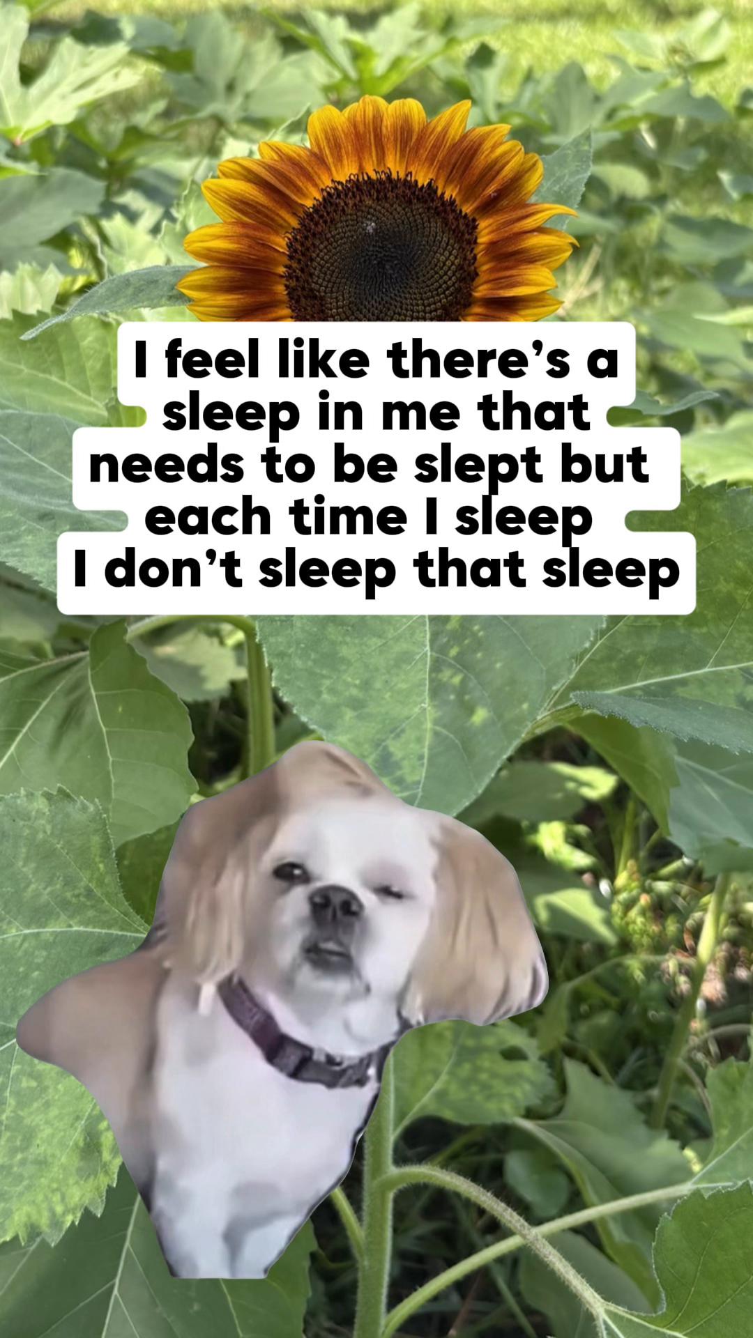 @Boredouttamymind