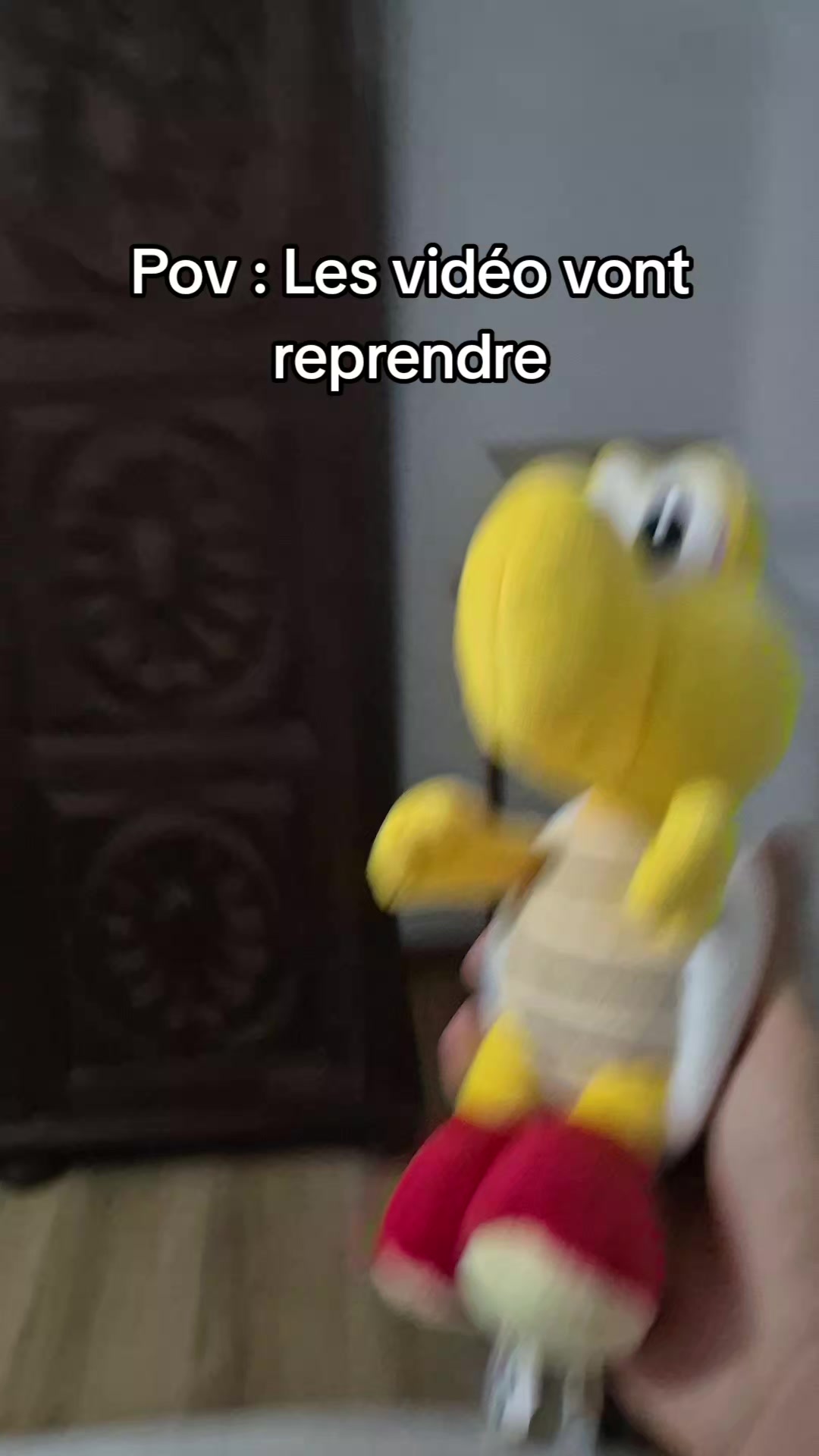 @peluchemario64