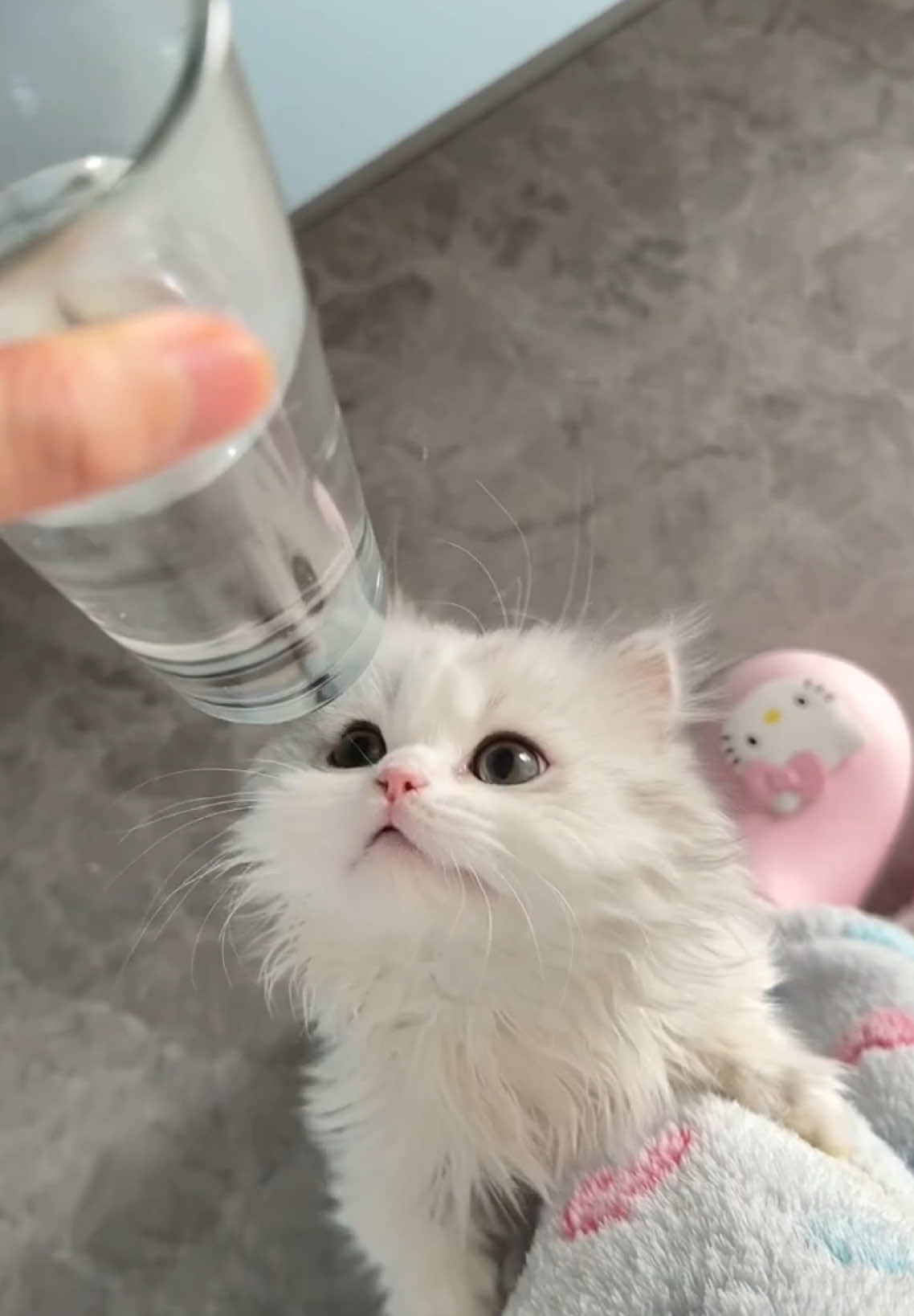 @マイ