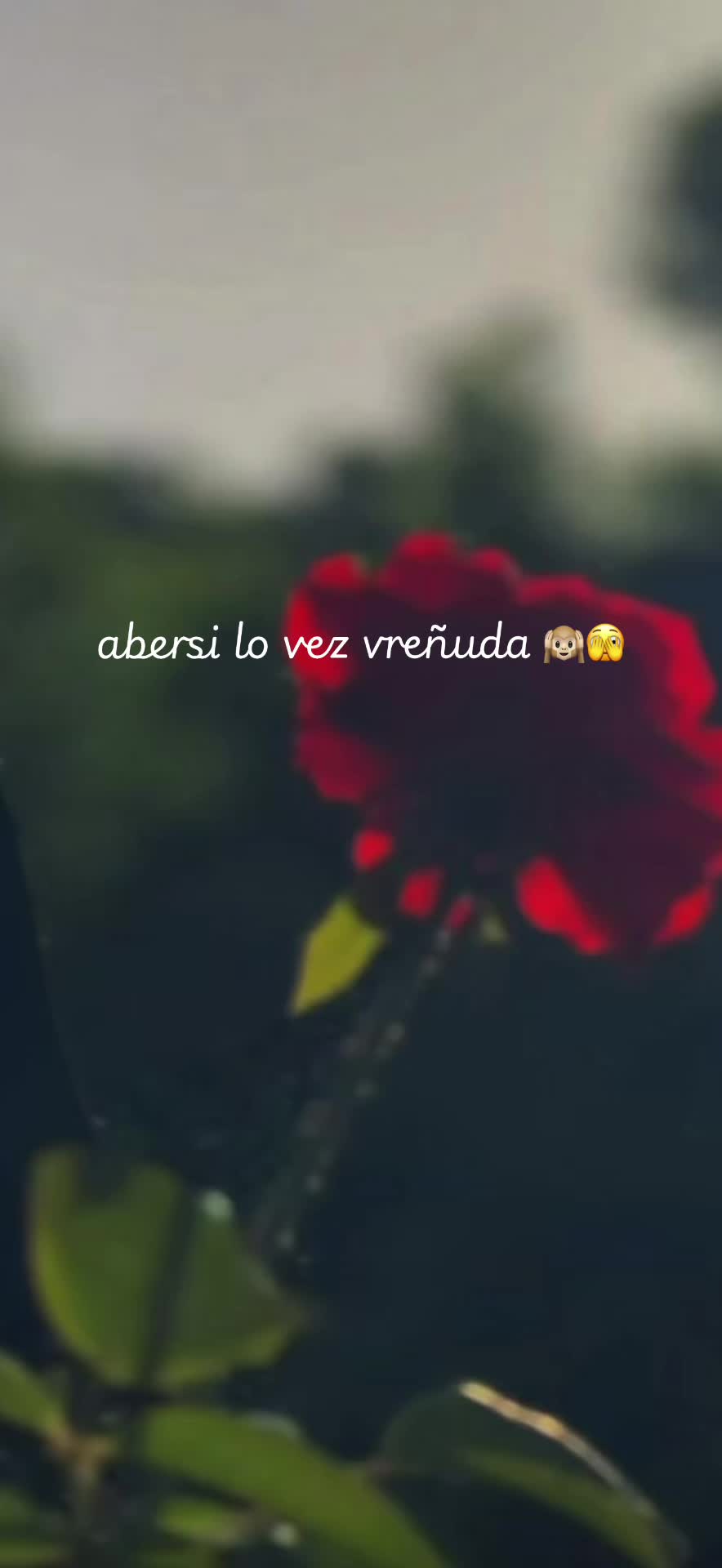 @777elmisterio🤔🪽