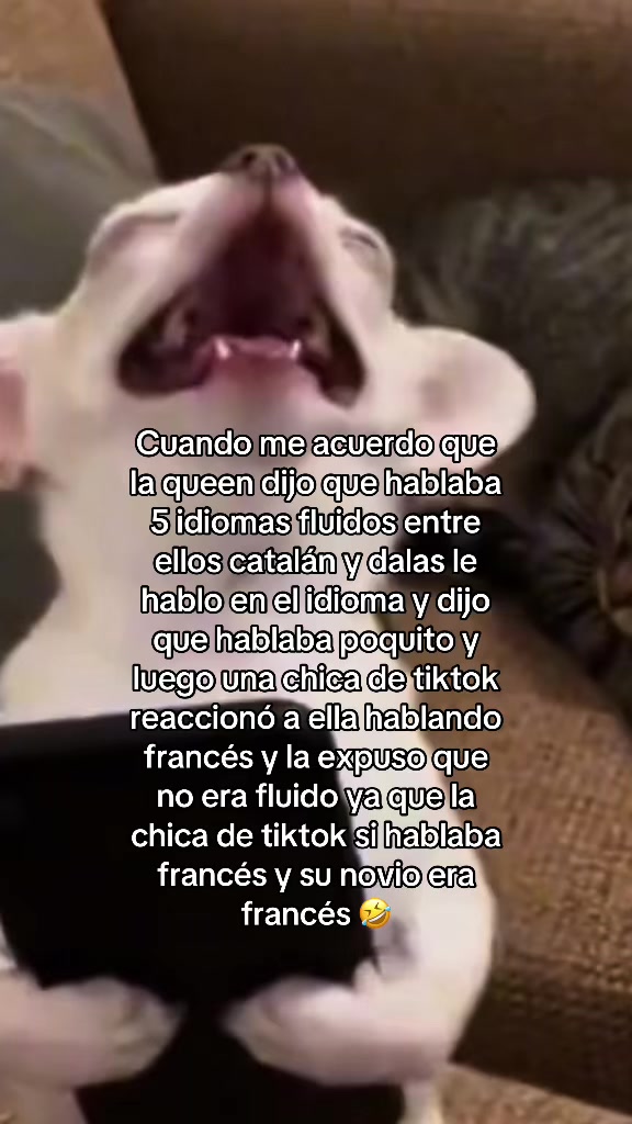 @RQ