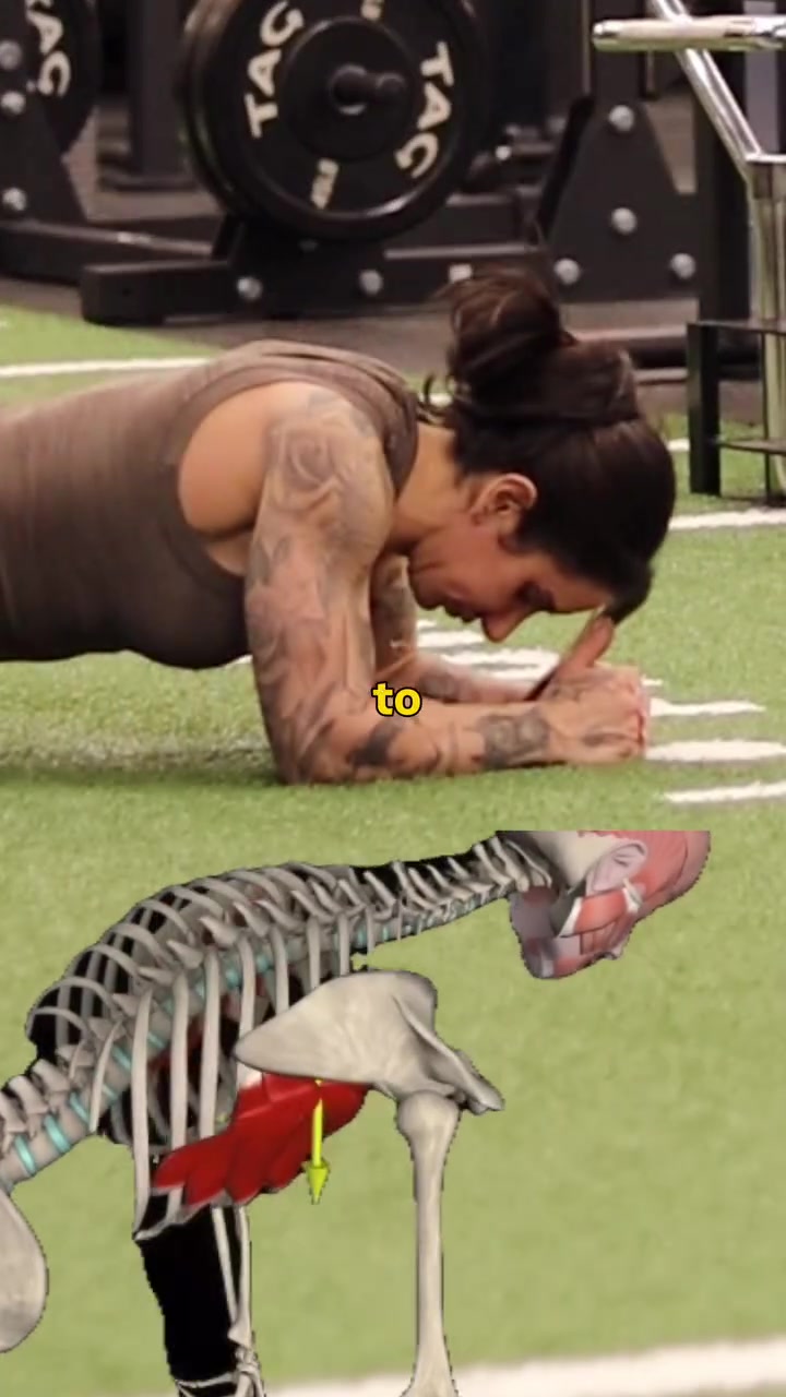 @Steficohen