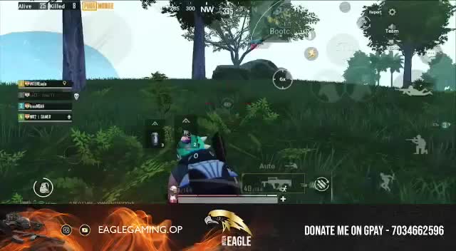 @iNTENEagle