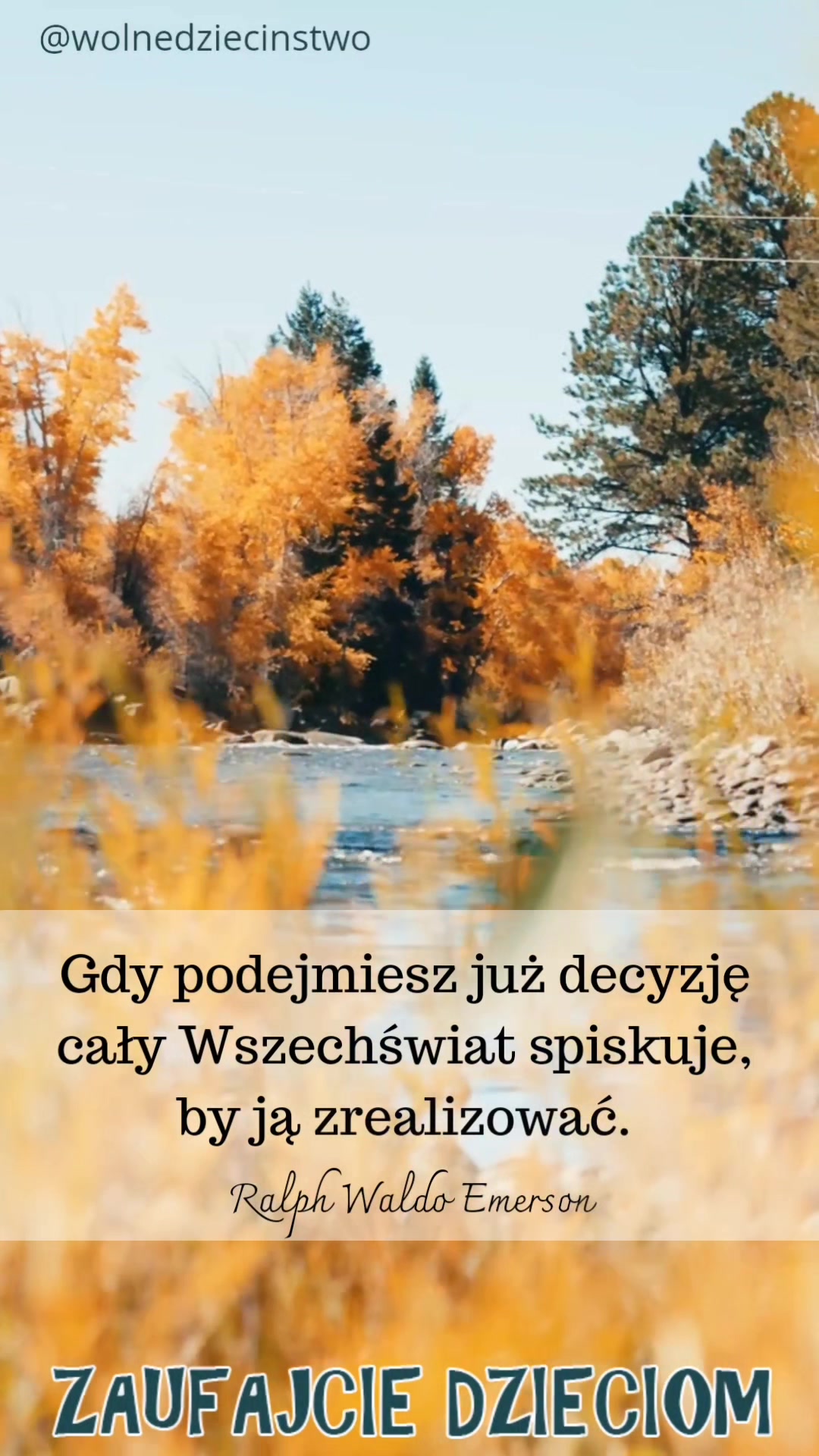@Wolne Dzieciństwo