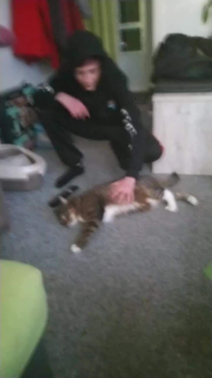 @lucaking1312